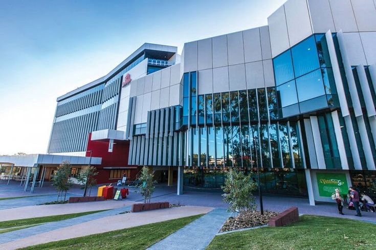 Syarat Masuk Kuliah di Griffith University Australia, Ranking, Jurusan, & Biaya